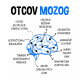 Otcov mozog - vankúš s potlačou