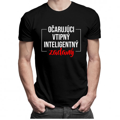Očarujúci, vtipný, inteligentný, zadaný - pánske tričko s potlačou